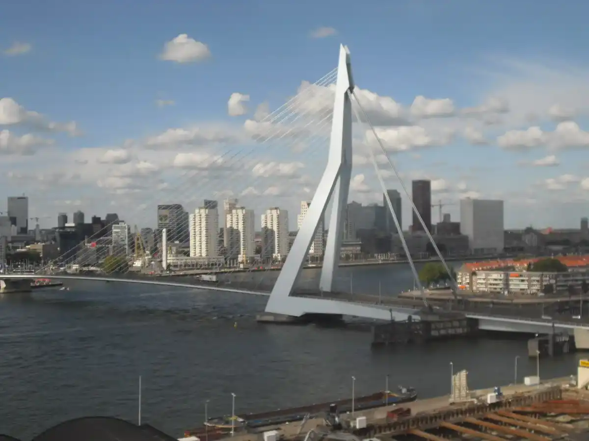 Erasmusbrug in Rotterdam — overzicht aan de Nieuwe Maas (Wikimedia Commons)